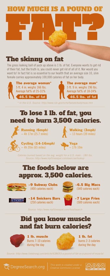 photo9+How+Much+is+a+Pound+of+Fat+[infographic]-1